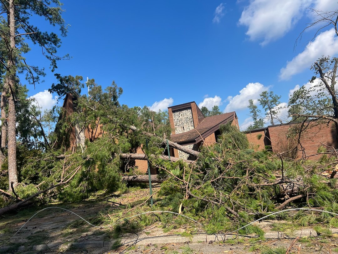 Storm Damage Recovery in South Georgia